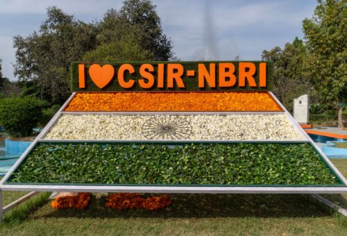 CSIR NET December 2026: Easy Admit Card Process Explained